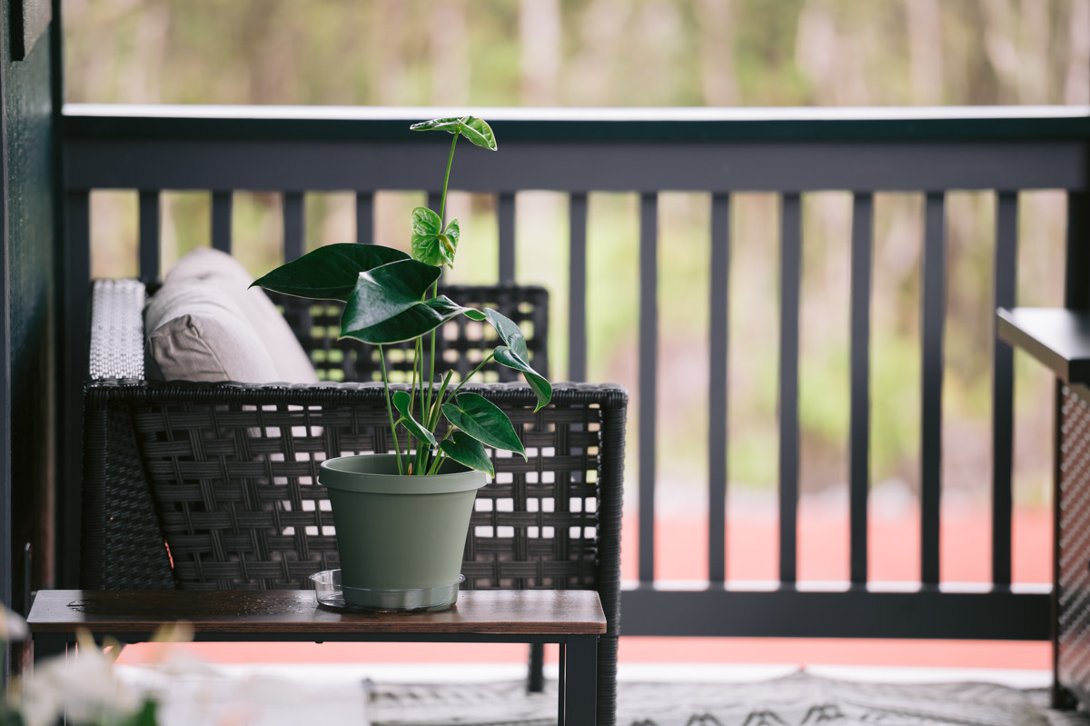 Alii-Koa-Honu-Suite-014