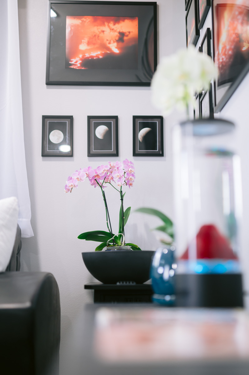 Alii-Koa-Pele-Suite-008