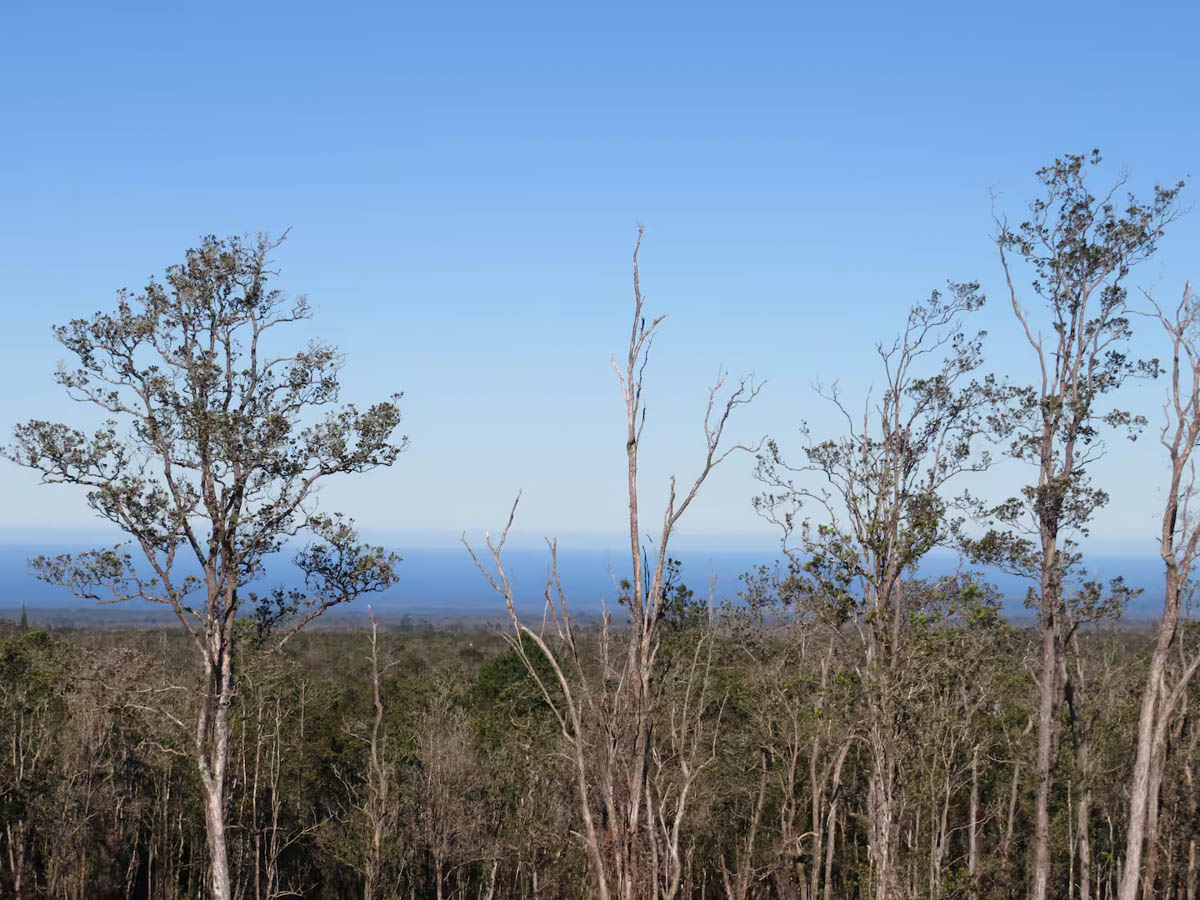 Alii-Koa-Pele-Suite-032