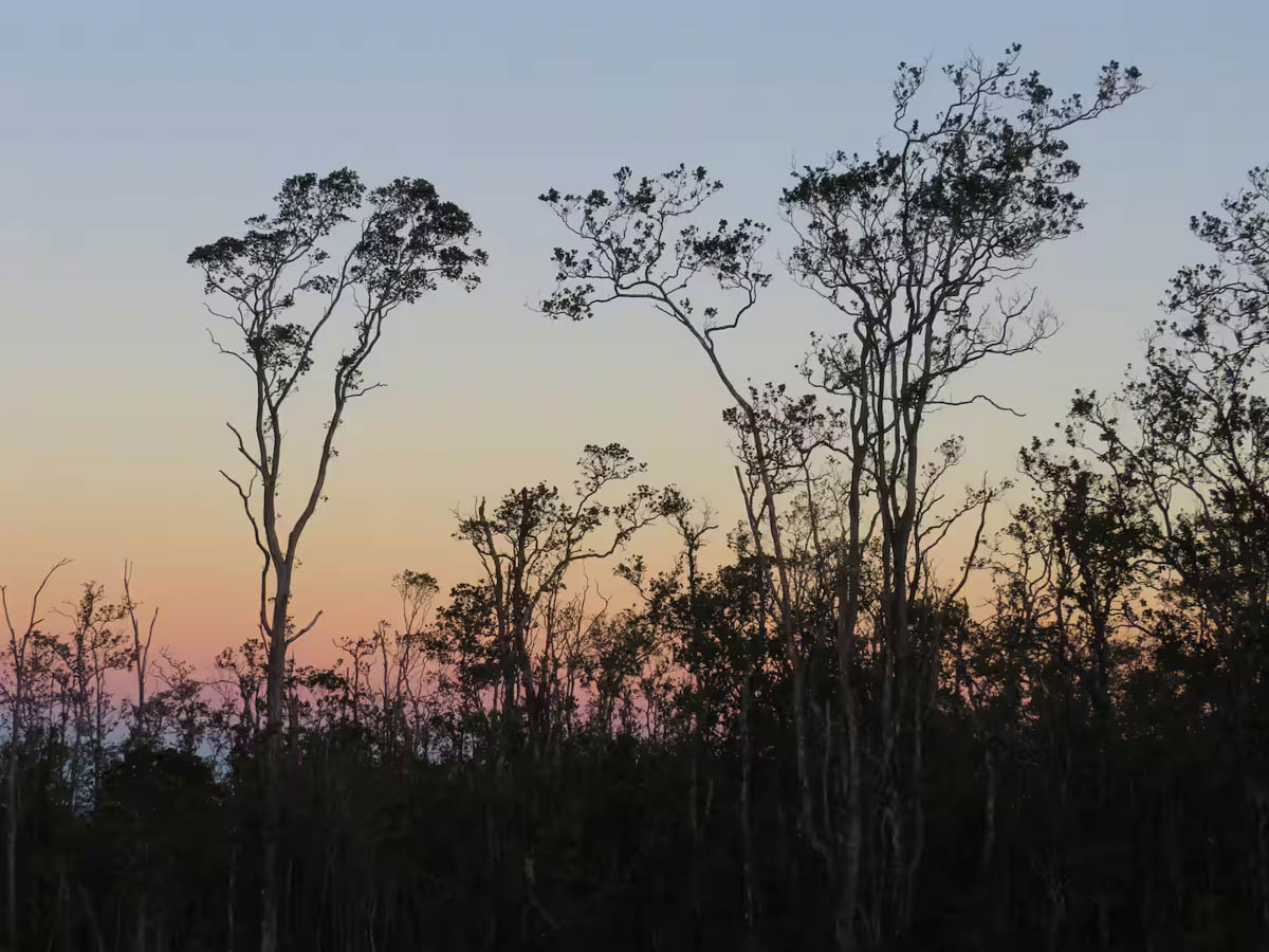 Alii-Koa-Pele-Suite-033