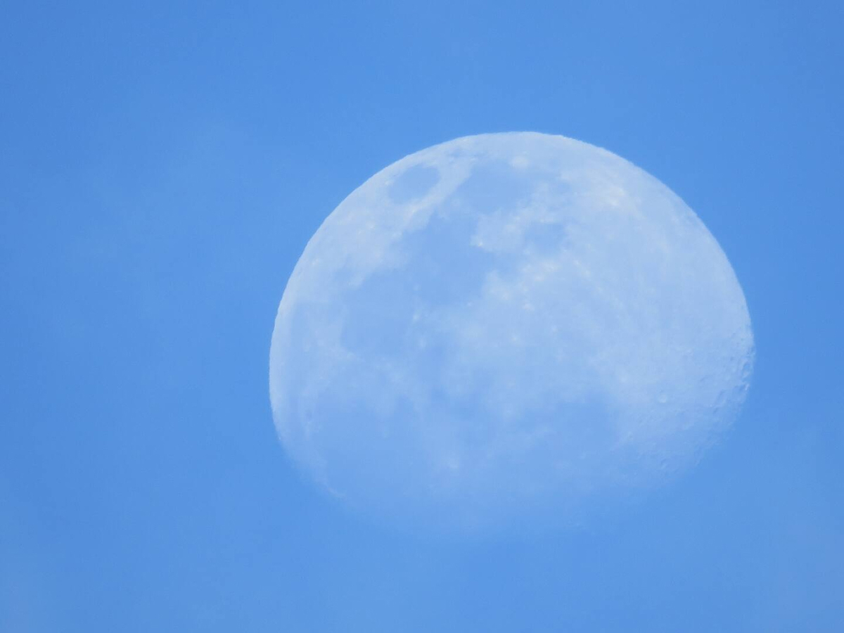 Alii-Koa-Pele-Suite-034